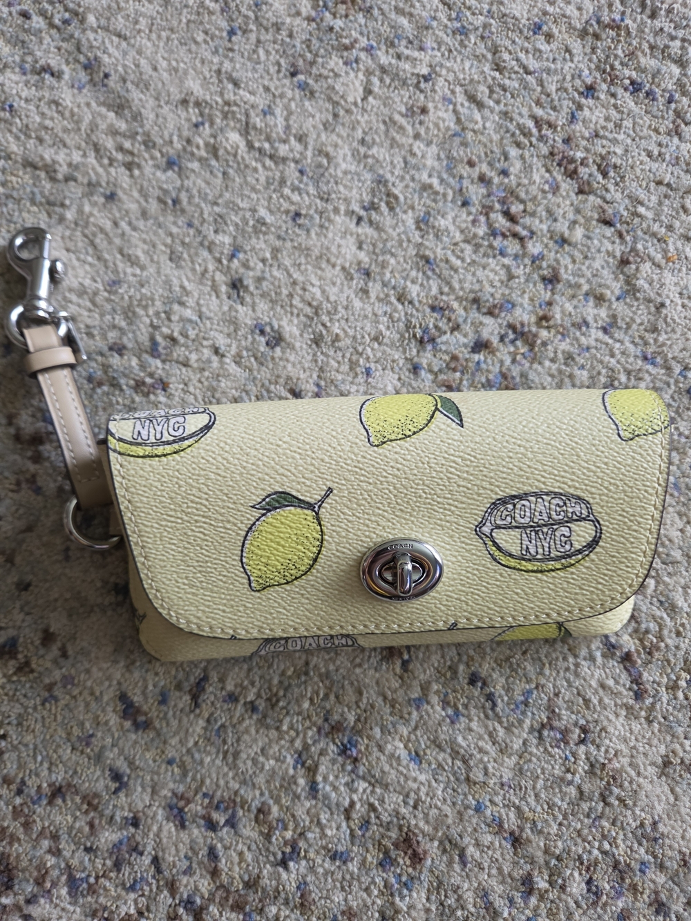 Coach Lemon Sunglasses Case
